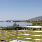فيلة Ana *